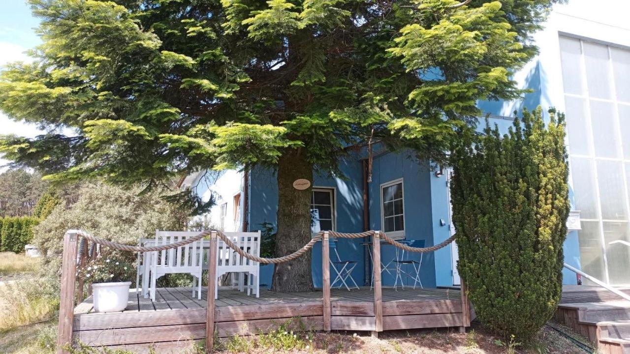 Ferienwohnung Naturparadies Gnitz Lutow エクステリア 写真
